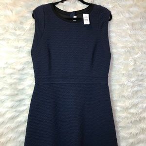 Loft Navy Blue and Black accents Fit and slight flare dress size 12 NWT